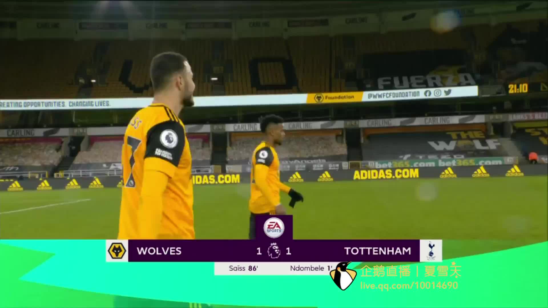 中展示他们 中展示他们